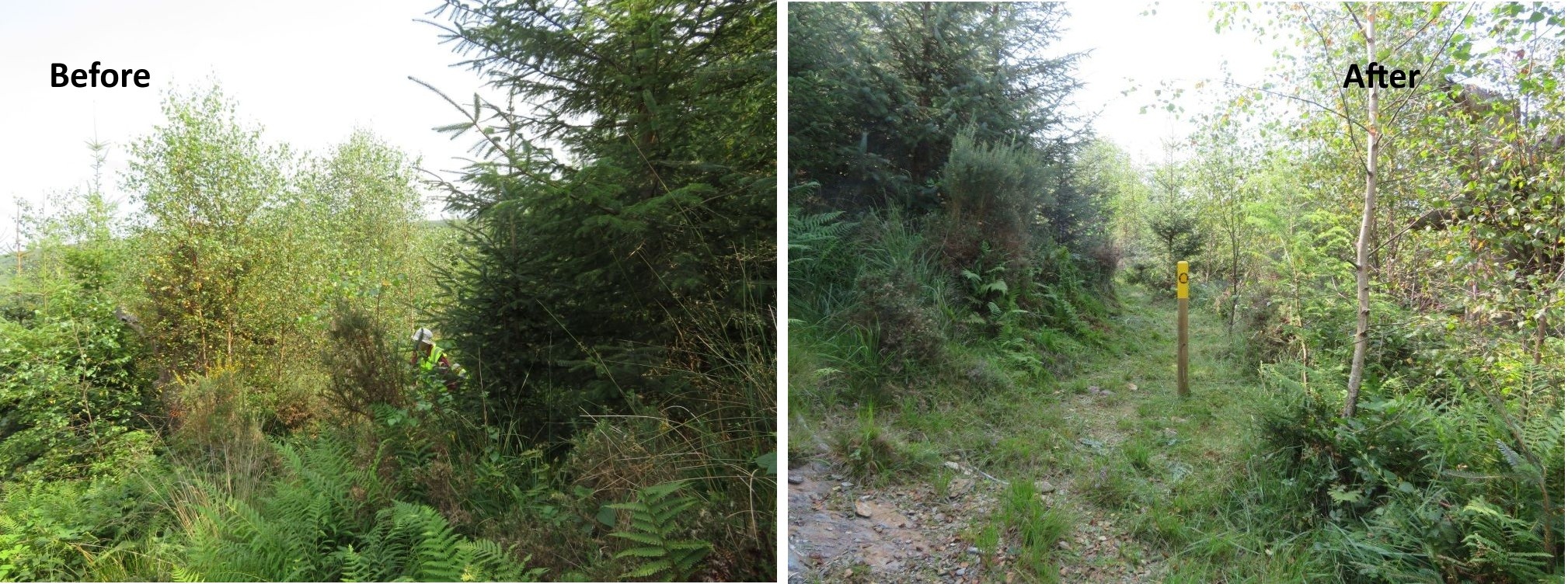Before and after
